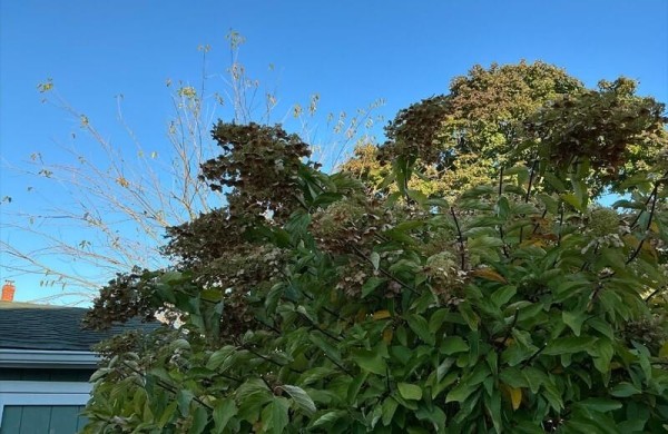 Обзор Apple iPad mini (A17 Pro): компактного планшета с самым мощным железом и ИИ Обзор Apple iPad mini (A17 Pro): компактного планшета с самым мощным железом и ИИ