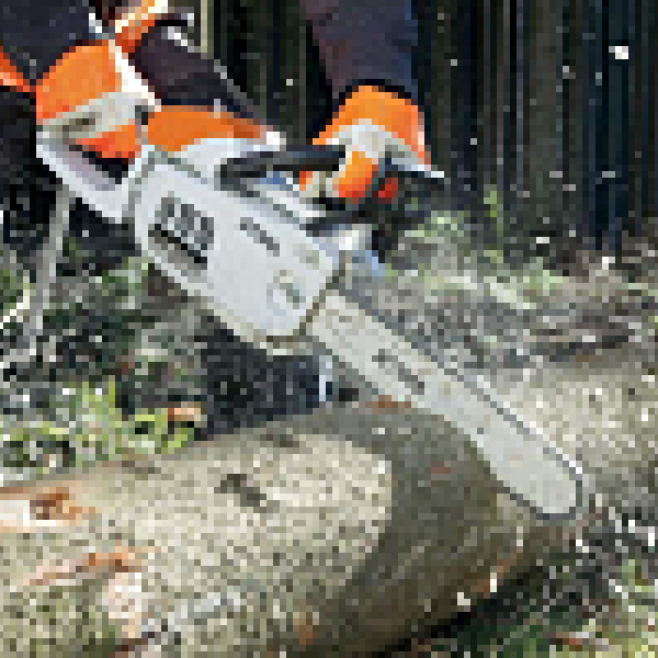 15 лучших бензопил 15 лучших бензопил